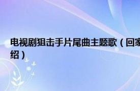 电视剧狙击手片尾曲主题歌（回家 电影《狙击手》主题曲相关内容简介介绍）