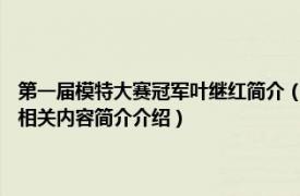 第一届模特大赛冠军叶继红简介（叶成 2006第十二届模特之星大赛的亚军相关内容简介介绍）