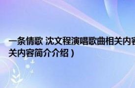 一条情歌 沈文程演唱歌曲相关内容简介介绍（一条情歌 沈文程演唱歌曲相关内容简介介绍）