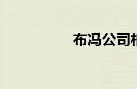 布冯公司相关内容介绍