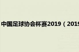 中国足球协会杯赛2019（2019年中国足协杯相关内容简介介绍）