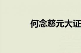 何念慈元大证券副董事长简介