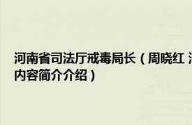 河南省司法厅戒毒局长（周晓红 河南省司法厅戒毒管理局一级调研员相关内容简介介绍）