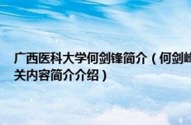 广西医科大学何剑锋简介（何剑峰 广西医科大学第一附属医院主任医师相关内容简介介绍）