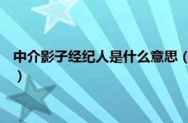 中介影子经纪人是什么意思（影子经纪人 游戏相关内容简介介绍）