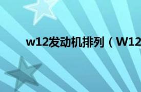 w12发动机排列（W12发动机相关内容简介介绍）