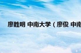 廖胜明 中南大学（廖俊 中南大学副教授相关内容简介介绍）