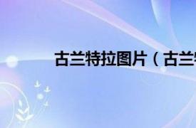 古兰特拉图片（古兰特拉相关内容简介介绍）