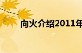 向火介绍2011年陈导演的反腐电影