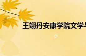 王翊丹安康学院文学与传媒学院教师内容简介