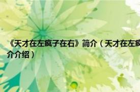 《天才在左疯子在右》简介（天才在左疯子在右 2017年时报出版出版的图书相关内容简介介绍）