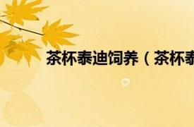 茶杯泰迪饲养（茶杯泰迪熊相关内容简介介绍）