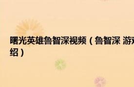 曙光英雄鲁智深视频（鲁智深 游戏《曙光英雄》中的角色相关内容简介介绍）