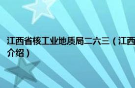 江西省核工业地质局二六三（江西省核工业地质局二六七大队相关内容简介介绍）