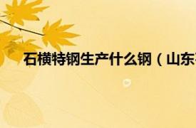 石横特钢生产什么钢（山东石横特钢厂相关内容简介介绍）