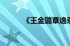 《王金璐覃逸录》相关内容简介