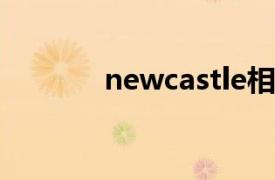 newcastle相关内容简介介绍