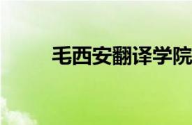 毛西安翻译学院教师相关内容简介