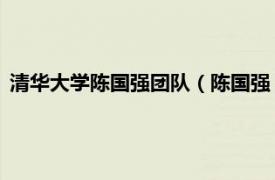 清华大学陈国强团队（陈国强 清华大学教授相关内容简介介绍）