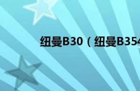 纽曼B30（纽曼B354GB相关内容简介介绍）