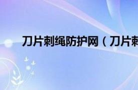 刀片刺绳防护网（刀片刺网刺绳相关内容简介介绍）