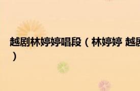 越剧林婷婷唱段（林婷婷 越剧王派名家林婷婷相关内容简介介绍）