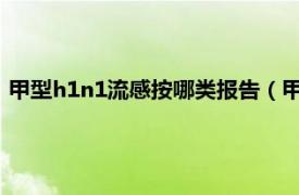 甲型h1n1流感按哪类报告（甲型H1N1流感相关内容简介介绍）