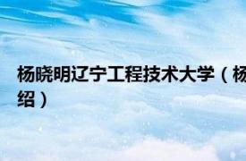 杨晓明辽宁工程技术大学（杨明明 辽宁大学助教相关内容简介介绍）