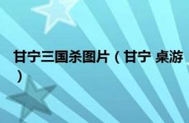 甘宁三国杀图片（甘宁 桌游《三国杀》武将牌相关内容简介介绍）