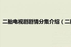 二胎电视剧剧情分集介绍（二胎来了 电视剧相关内容简介介绍）