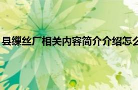 县缫丝厂相关内容简介介绍怎么写（县缫丝厂相关内容简介介绍）