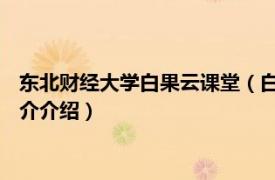 东北财经大学白果云课堂（白雪梅 东北财经大学博士相关内容简介介绍）