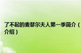 了不起的麦瑟尔夫人第一季简介（了不起的麦瑟尔夫人第二季相关内容简介介绍）