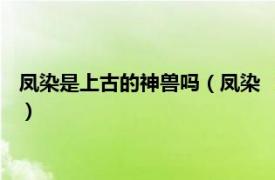 凤染是上古的神兽吗（凤染 《上古》中的人物相关内容简介介绍）