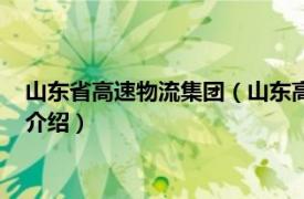 山东省高速物流集团（山东高速物流集团有限公司相关内容简介介绍）