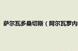 萨尔瓦多桑切斯（阿尔瓦罗内格雷多桑切斯相关内容简介介绍）