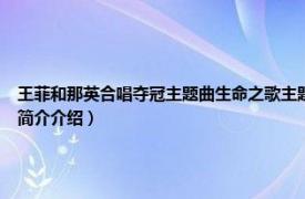 王菲和那英合唱夺冠主题曲生命之歌主题歌（生命之河 王菲、那英演唱的歌曲相关内容简介介绍）