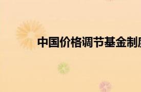 中国价格调节基金制度文汇相关内容简介介绍