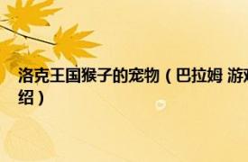 洛克王国猴子的宠物（巴拉姆 游戏《洛克王国》中的宠物相关内容简介介绍）