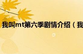 我叫mt第六季剧情介绍（我叫mt第6季相关内容简介介绍）