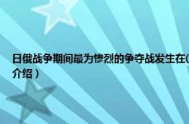 日俄战争期间最为惨烈的争夺战发生在( )（日俄战争现代激烈的军事冲突相关内容简介介绍）