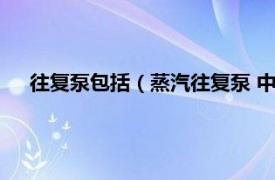 往复泵包括（蒸汽往复泵 中国国家标准相关内容简介介绍）