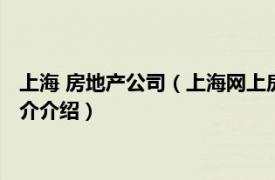 上海 房地产公司（上海网上房地产投资管理有限公司相关内容简介介绍）