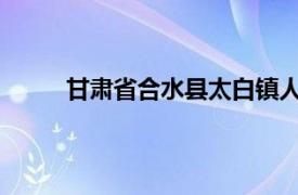 甘肃省合水县太白镇人民政府民政助理王娟介绍