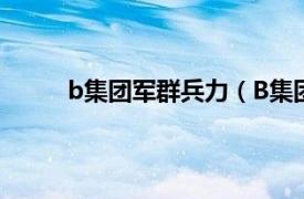 b集团军群兵力（B集团军群相关内容简介介绍）