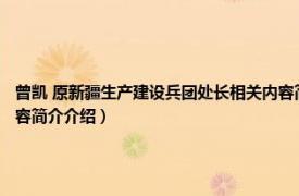 曾凯 原新疆生产建设兵团处长相关内容简介介绍（曾凯 原新疆生产建设兵团处长相关内容简介介绍）