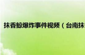 抹香鲸爆炸事件视频（台南抹香鲸爆炸事件相关内容简介介绍）