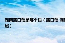 湖南路口镇是哪个县（路口镇 湖南省长沙市长沙县下辖镇相关内容简介介绍）