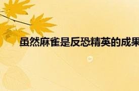 虽然麻雀是反恐精英的成果之一但简单介绍一下相关内容