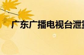 广东广播电视台泄露的TVS1迷你剧简介